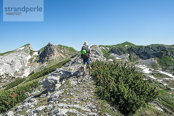 Wanderer auf einem Wanderweg  Haidachstellwand  5-Gipfel-Klettersteig  hinten Roßkopf und Seekarlspitze  Wanderung am Rofangebirge  Tirol  Österreich  Europa