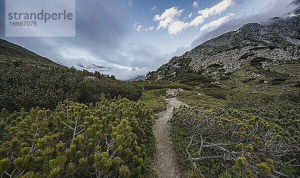 Abendstimmung  Wanderweg  Berliner Höhenweg  Zillertaler Alpen  Zillertal  Tirol  Österreich  Europa