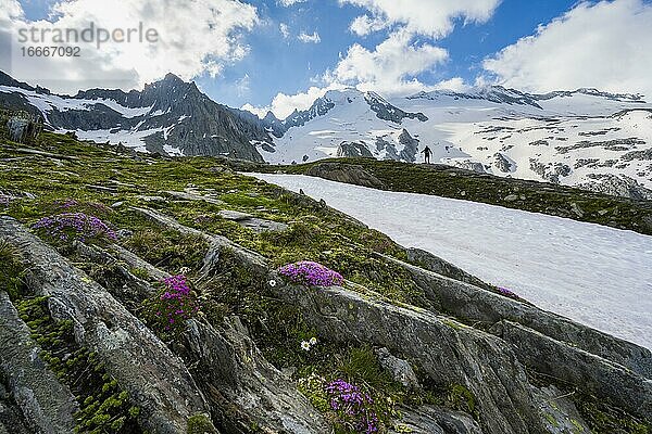 Wanderer vor schneebedeckten Berge  hochalpine Landschaft mit Gletscher Furtschaglkees  Berliner Höhenweg  Zillertaler Alpen  Zillertal  Tirol  Österreich  Europa