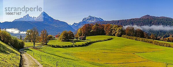 Herbstlandschaft  hinten die Gebirge Watzmann und Hochkalter  Berchtesgadener Alpen  Bischofswiesen  Berchtesgadener Land  Oberbayern  Bayern  Deutschland  Europa