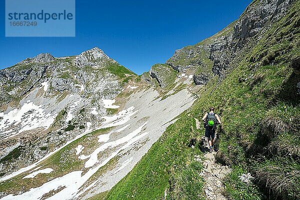 Wanderer auf einem Wanderweg  5-Gipfel-Klettersteig  hinten Roßkopf  Wanderung am Rofangebirge  Tirol  Österreich  Europa