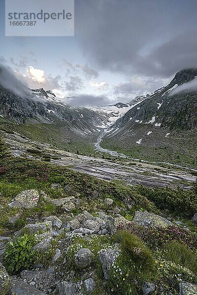 Abendstimmung  Bergtal am Berliner Höhenweg  Gletscher Hornkees  Zillertaler Alpen  Zillertal  Tirol  Österreich  Europa