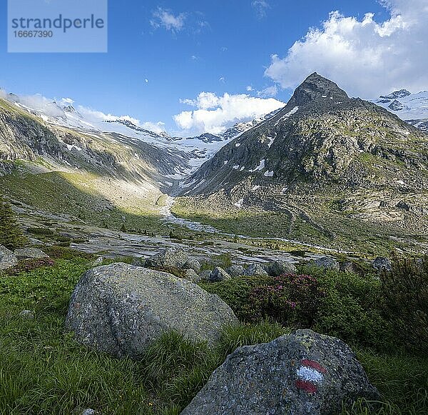 Wanderweg mit Markierung  Berge am Berliner Höhenweg  Berggipfel Steinmandl  Gletscher Hornkees  Zillertaler Alpen  Zillertal  Tirol  Österreich  Europa