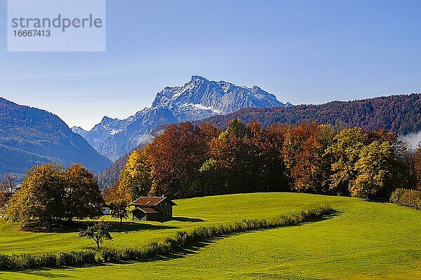 Herbstlandschaft  hinten das Gebirge Hochkalter  Berchtesgadener Alpen  Bischofswiesen  Berchtesgadener Land  Oberbayern  Bayern  Deutschland  Europa