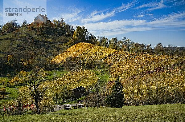 Wurmlinger Kapelle  bei Tübingen  Baden-Württemberg  Deutschland  Europa