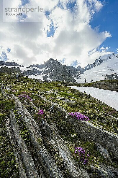 Wanderer vor schneebedeckten Berge  hochalpine Landschaft mit Gletscher Furtschaglkees  Berliner Höhenweg  Zillertaler Alpen  Zillertal  Tirol  Österreich  Europa