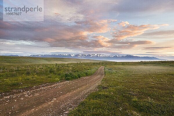 Schotterweg durch Ebene im Herbst im Abendlicht  hinten schneebedeckte Berge  Norðurþing  Norðurland eystra  Island  Europa