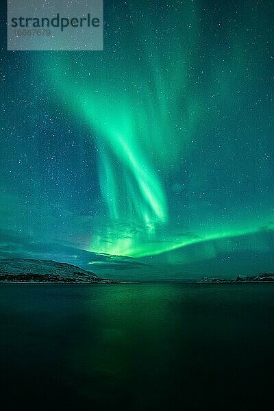 Nordlichter über einem norwegischem Fjord  Tromsø  Norwegen  Europa
