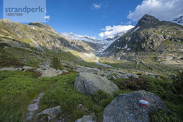 Wanderweg mit Markierung  Berge am Berliner Höhenweg  Berggipfel Steinmandl  Gletscher Hornkees  Zillertaler Alpen  Zillertal  Tirol  Österreich  Europa