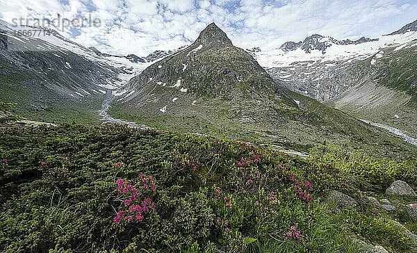 Berge am Berliner Höhenweg  Mitte Berggipfel Steinmandl   rechts Großer Möseler  Gletscher Hornkees und Waxeggkees  Zillertaler Alpen  Zillertal  Tirol  Österreich  Europa