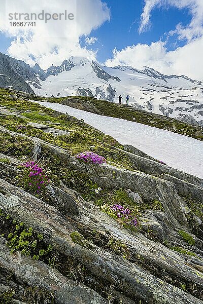 Wanderer vor schneebedeckten Berge  hochalpine Landschaft mit Gletscher Furtschaglkees  Berliner Höhenweg  Zillertaler Alpen  Zillertal  Tirol  Österreich  Europa