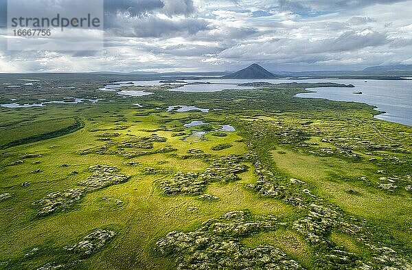 Fein strukturierte Landschaft mit grünem Bewuchs und kleinen Seen und Inseln  hinten Vulkankegel und Wolken  Vulkan am See Mývatn  Skútustaðir  Norðurland eystra  Island  Europa