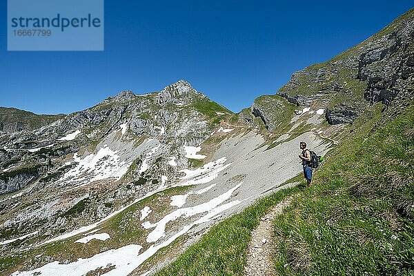 Wanderer auf einem Wanderweg  5-Gipfel-Klettersteig  hinten Roßkopf  Wanderung am Rofangebirge  Tirol  Österreich  Europa