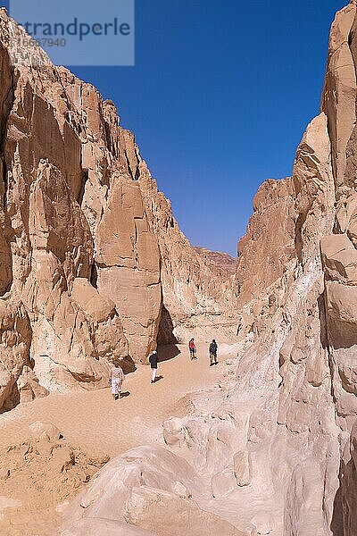 Wandern in der weissen Schlucht  Sinai-Halbinsel  Ägypten  Afrika