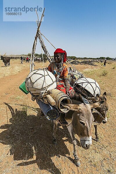 Frau auf Esel  Karawane von Peul-Nomaden mit ihren Tieren in der Sahelzone von Niger