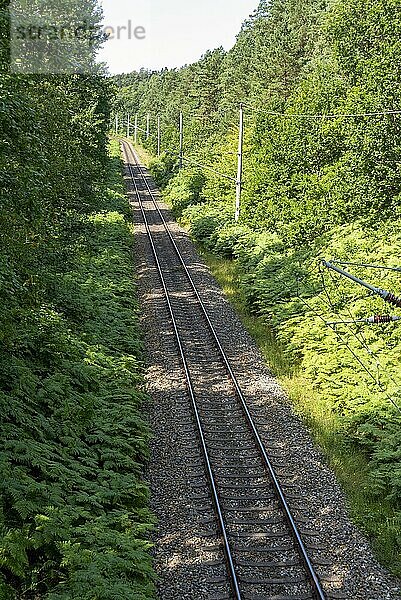 Eisenbahnlinie zwischen Mukran und Prora  Mecklenburg-Vorpommern  Deutschland  Europa