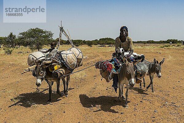 Mutter und Kind auf Eseln  Karawane von Peul-Nomaden mit ihren Tieren in der Sahelzone von Niger
