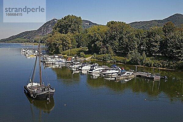 Altrhein mit Aalschokker Aranka  Yachthafen und Drachenfels mit Siebengebirge  Bad Honnef  Nordrhein-Westfalen  Deutschland  Europa