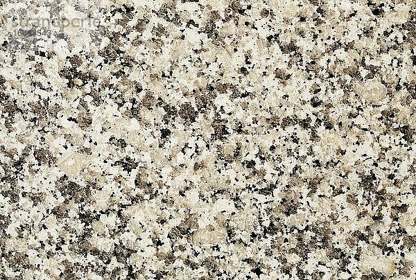 Weißer Granit  Granitplatte  Steinplatte  Struktur  Österreich  Europa
