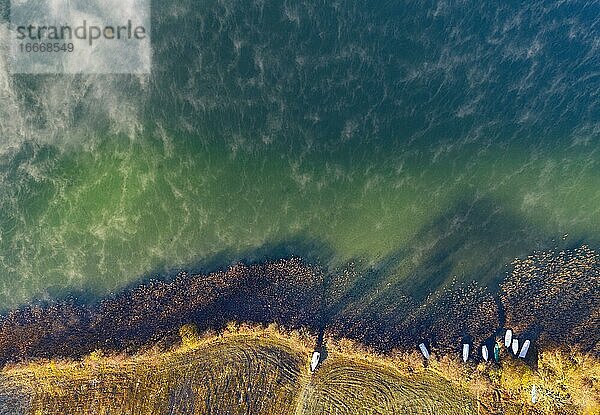Nebelschwaden am Irrsee mit Fischerboote im Schilfgürtel  Bodennebel  von oben  Drohnenaufnahme  Luftaufnahme  Zell am Moos  Salzkammergut  Oberösterreich  Österreich  Europa