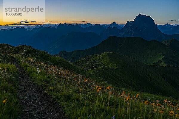 Kleiner Bergweg mit Blumenwiese bei Sonnenaufgang  Schoppernau  Bregenzerwald  Vorarlberg  Österreich  Europa