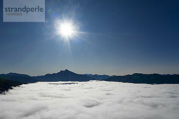 Schafberg und Drachenwand ragen aus dem Nebelmeer  Inversionswetterlage  Drohnenaufnahme  Luftaufnahme  Mondsee  Mondseeland  Salzkammergut  Oberösterreich  Österreich  Europa