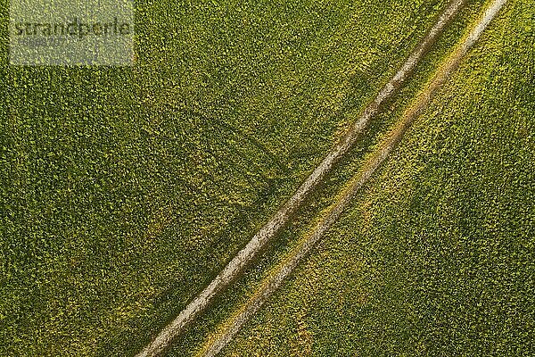 Feldweg durch gemähte Wiese  Struktur  Drohnenaufnahme  Luftaufnahme  Mondseeland  Salzkammergut  Oberösterreich  Österreich  Europa