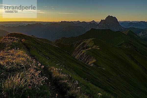 Kleiner Bergweg mit Blumenwiese und Allgäuer Alpen dahinter bei Sonnenaufgang  Schoppernau  Bregenzerwald  Vorarlberg  Österreich  Europa