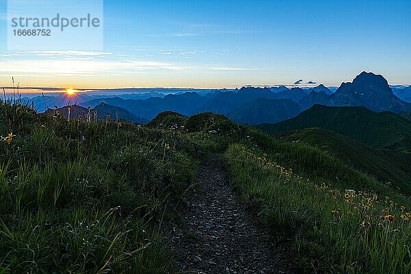 Kleiner Bergweg mit Blumenwiese und Allgäuer Alpen dahinter bei Sonnenaufgang  Schoppernau  Bregenzerwald  Vorarlberg  Österreich  Europa