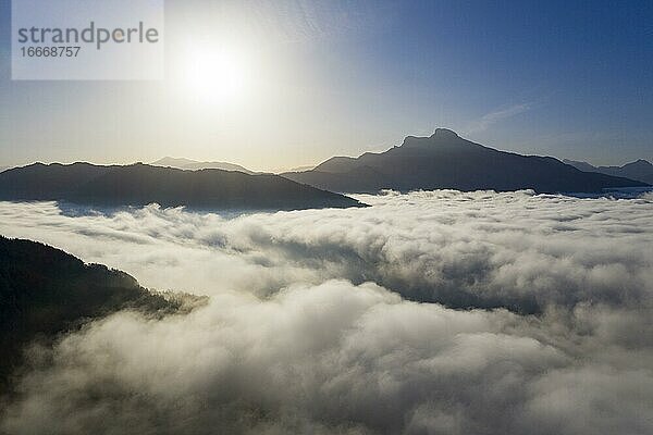 Schafberg ragen aus dem Nebelmeer  Inversionswetterlage  Drohnenaufnahme  Luftaufnahme  Mondsee  Mondseeland  Salzkammergut  Oberösterreich  Österreich  Europa