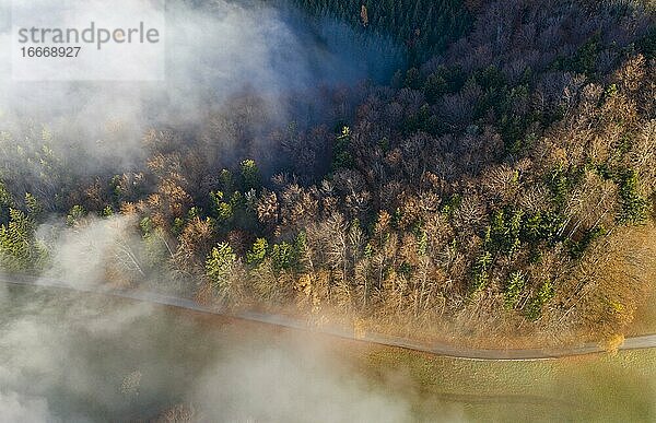 Landstraße durch herbstlich verfärbten Wald im Morgennebel  von oben  Drohnenaufnahme  Luftaufnahme  Mondseeland  Salzkammergut  Oberösterreich  Österreich  Europa
