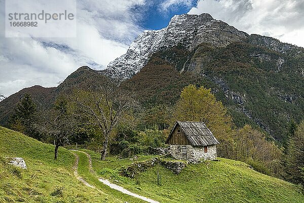 Hütte auf Alm  Soca-Tal  Julische Alpen  Bovec  Triglav Nationalpark  Slowenien  Europa