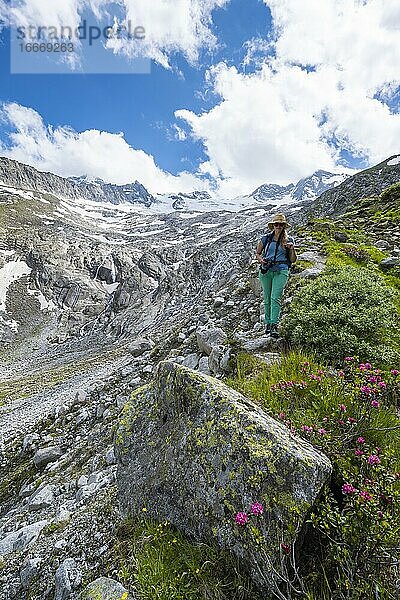 Wanderin auf dem Abstieg vom Schönbichler Horn zur Berliner Hütte  Moränenlandschaft  Gletscher Waxeggkees  hinten Großer Möseler  Berliner Höhenweg  Zillertaler Alpen  Zillertal  Tirol  Österreich  Europa