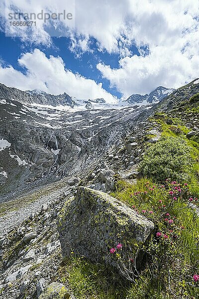 Moränenlandschaft  Gletscher Waxeggkees  hinten Großer Möseler  Berliner Höhenweg  Zillertaler Alpen  Zillertal  Tirol  Österreich  Europa