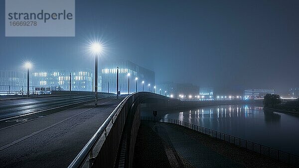 Nächtliche Hugo-Preuß-Brücke im Nebel  Berlin  Deutschland  Europa