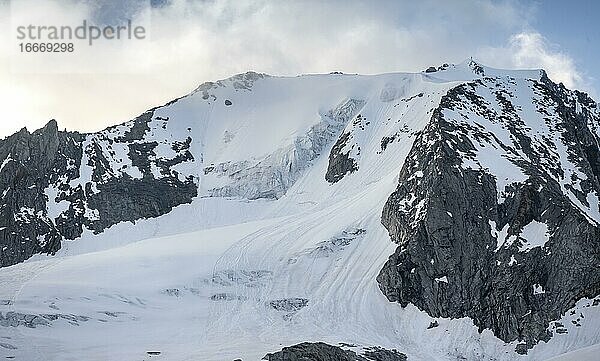Schneebdeckter Berggipfel  Gletscher Waxeggkees  hochalpine Landschaft  Zillertaler Alpen  Zillertal  Tirol  Österreich  Europa