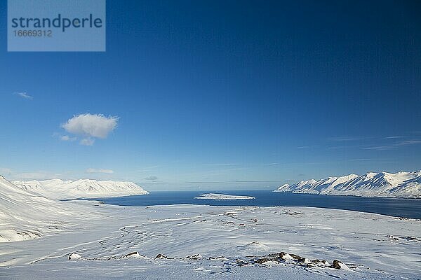 Akureyrifjord im Winter mit verschneiten Bergen  Island  Europa