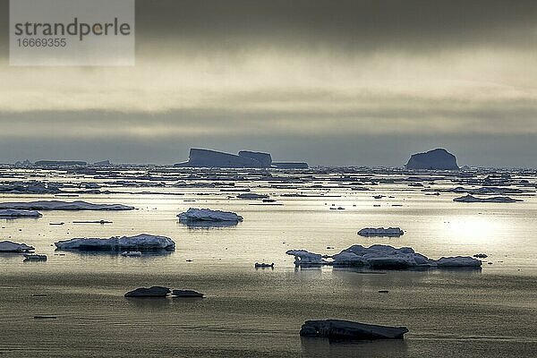 Eisberge im Meer  Nebel  mystische Stimmung  Ostküste Grönlands  Dänemark  Europa