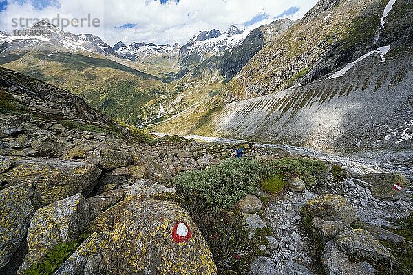 Wanderer auf markiertem Wanderweg  Abstieg vom Schönbichler Horn zur Berliner Hütte  Moränenlandschaft  Gletscher Waxeggkees  Berliner Höhenweg  Zillertaler Alpen  Zillertal  Tirol  Österreich  Europa