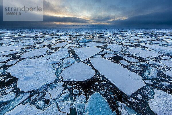 Eisfeld im Meer  drohende Wolkenstimmung  Ostküste Grönland  Dänemark  Europa