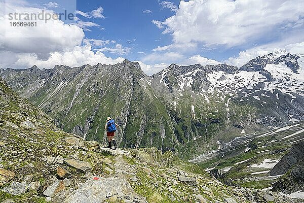 Wanderin auf dem Abstieg von der Mörchnerscharte zum Floitengrund  Hinten Großer Löffler  Berliner Höhenweg  Zillertaler Alpen  Zillertal  Tirol  Österreich  Europa