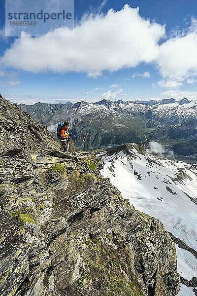 Wanderin auf dem Schönbichler Horn  hinten Gipfel des Ochsner  Berliner Höhenweg  Zillertaler Alpen  Zillertal  Tirol  Österreich  Europa
