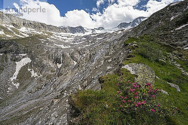 Moränenlandschaft des Gletschers Waxeggkees  Berliner Höhenweg  Zillertaler Alpen  Zillertal  Tirol  Österreich  Europa