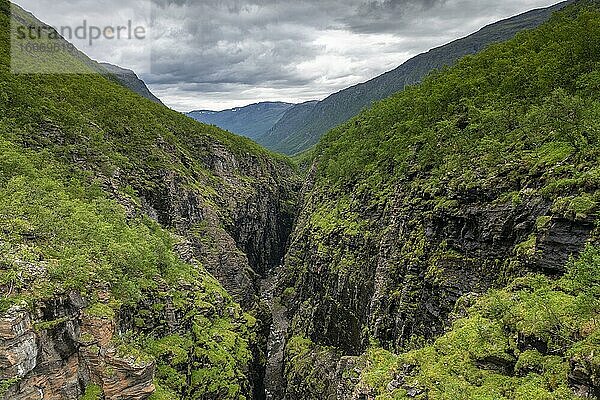 Kåfjord Canyon bei Gorsa bridge  Troms og Finnmark  Norwegen  Europa