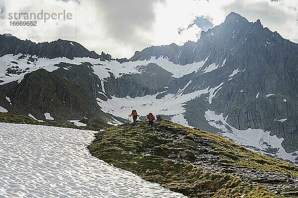 Schneefeld  Wanderer vor schneebedeckten Berggipfeln  Aufstieg zum Schönbichler Horn  Furtschaglspitze und Großer Möseler  Gletscher Furtschaglkees  Berliner Höhenweg  Zillertaler Alpen  Zillertal  Tirol  Österreich  Europa