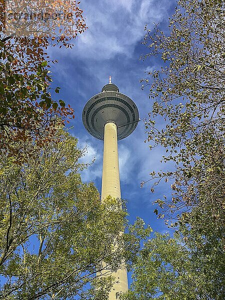 Europaturm  Ginnheimer Spargel  im Herbst  Bundesbankpark  Frankfurt am Main  Hessen  Deutschland  Europa