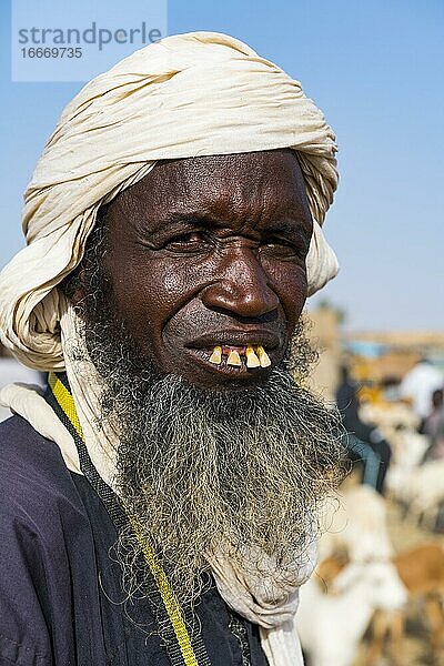 Tuareg  alter Mann  Portrait  Agadez  Niger  Afrika