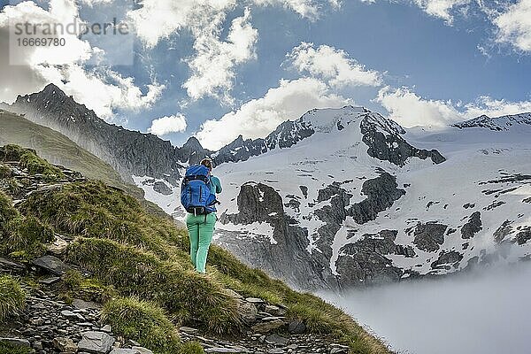 Wanderin vor schneebedeckten Berggipfeln  Furtschaglspitze und Großer Möseler  Aufstieg zum Schönbichler Horn  Gletscher Furtschaglkees  Berliner Höhenweg  Zillertaler Alpen  Zillertal  Tirol  Österreich  Europa