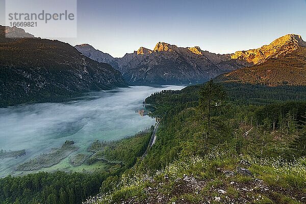 Almsee im Nebel  Totes Gebirge  Almtal  Salzkammergut  Oberösterreich  Österreich  Europa