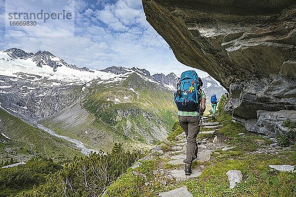 Wanderer auf Berliner Höhenweg  Hinten Gletscher Waxeggkees  Zillertaler Alpen  Zillertal  Tirol  Österreich  Europa